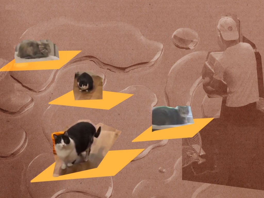 A Pizzeria Team in Odesa Rescued Animals from a Flooded Shelter