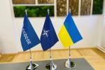 For the first time, Ukraine took part in a meeting of the Steering Committee of the NATO Cyber ​​Center
