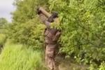 Paratroopers from LMM Martlet shot down Russian drones