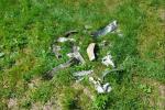 In the Sumy region, a plane of the Air Force of Ukraine shot down an enemy cruise missile