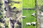 Half a dozen T-72 tanks and two infantry fighting vehicles destroyed - Ukrainian artillery is working