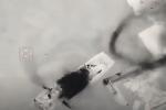 <b>Bayraktar TB2 again effectively bombed the Snake and disrupted the evacuation of the occupiers (video)</b>