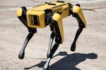 Robt dog Spot will come to Ukraine to demine territory - Foreign Policy