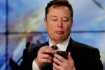 Elon Musk in Russian called the pro-Russian politician from Britain a comrade: a photo fact